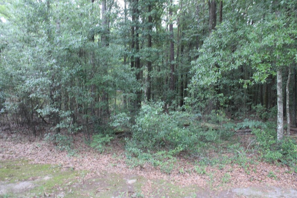 Picture 8