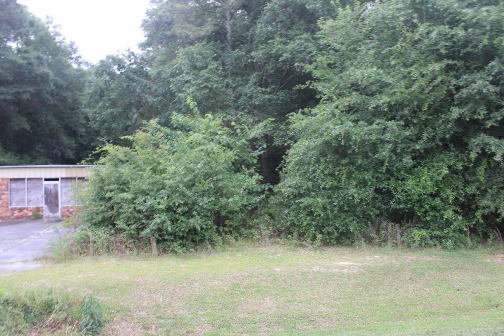 Picture 6