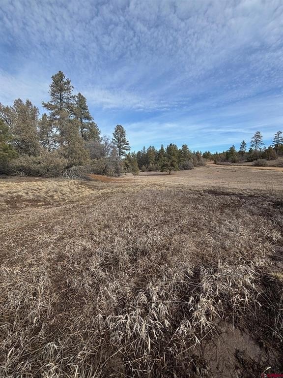 Land in Pagosa Springs, CO