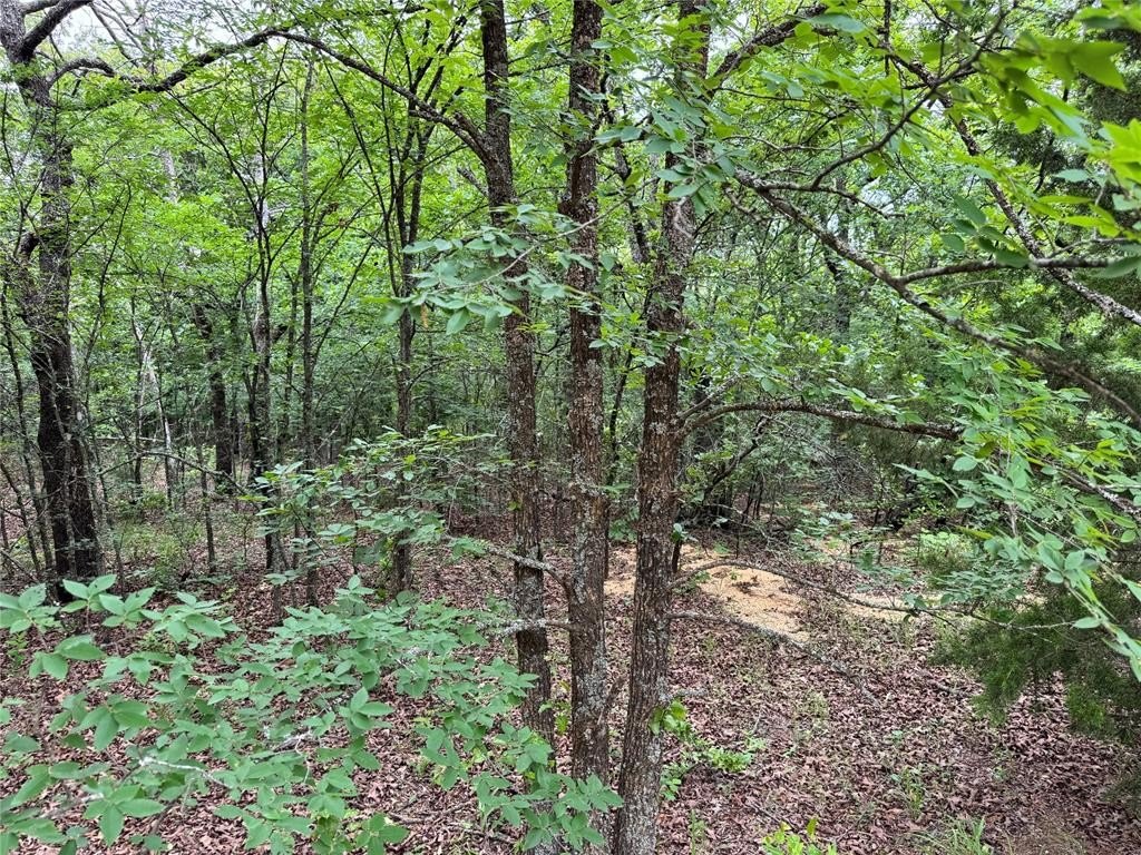 Picture 6