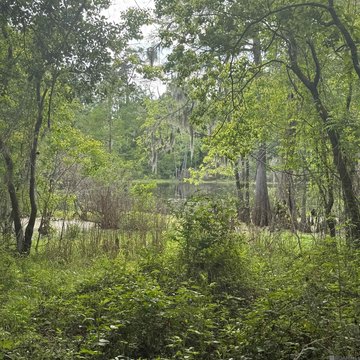 Waterfront Land on Sportsman Lake