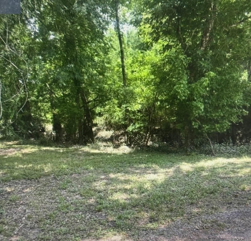 Picture 3