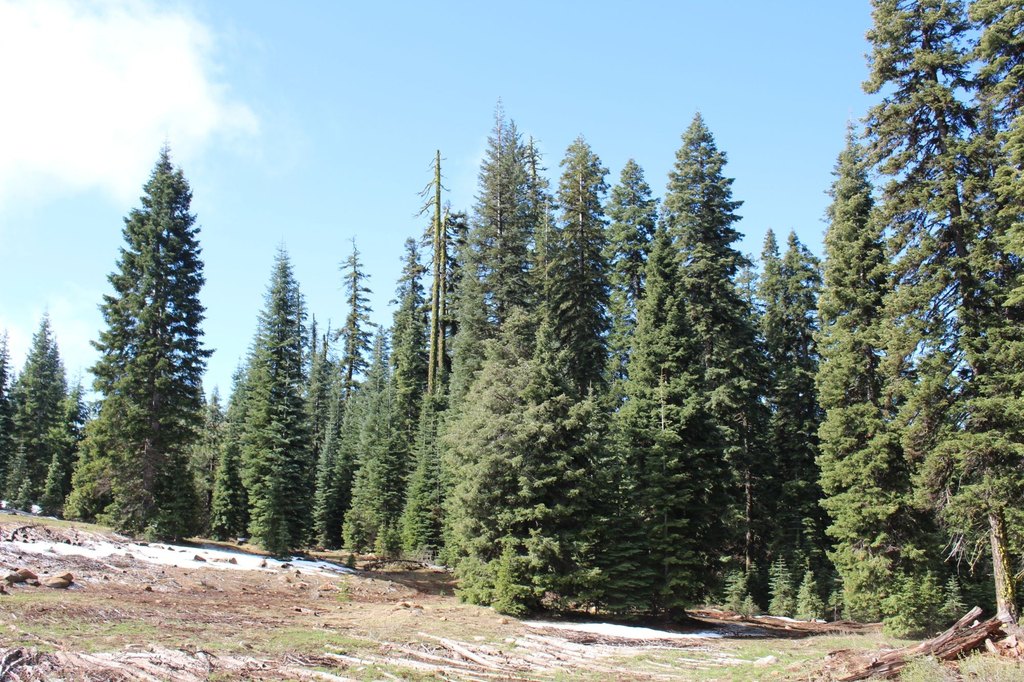 Picture 4