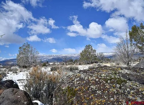 LAND - Cedaredge, CO