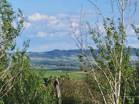 5-Acre Wooded Moscow Building Site