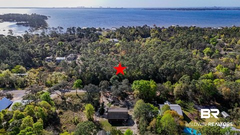 Wooded Lot in Perdido Beach