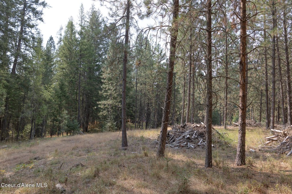 Picture 20