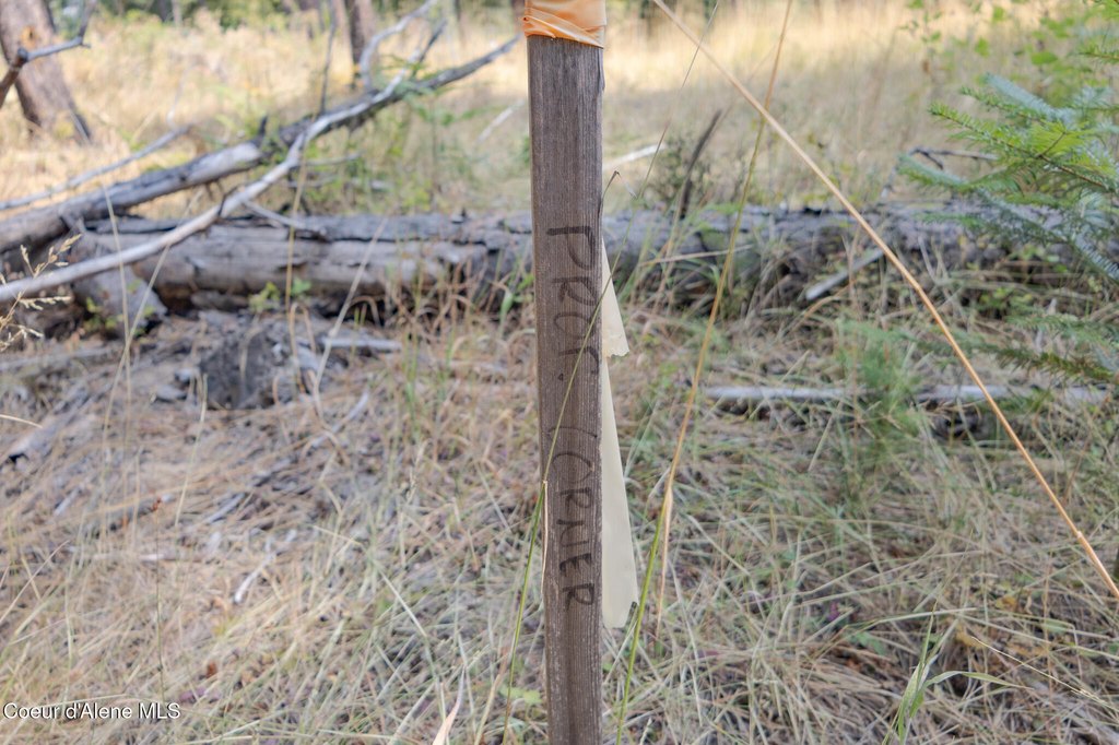 Picture 22