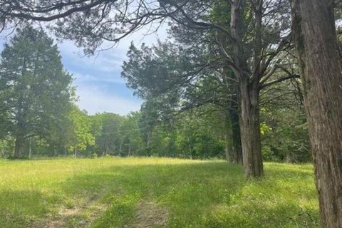Land, Somerville, TN