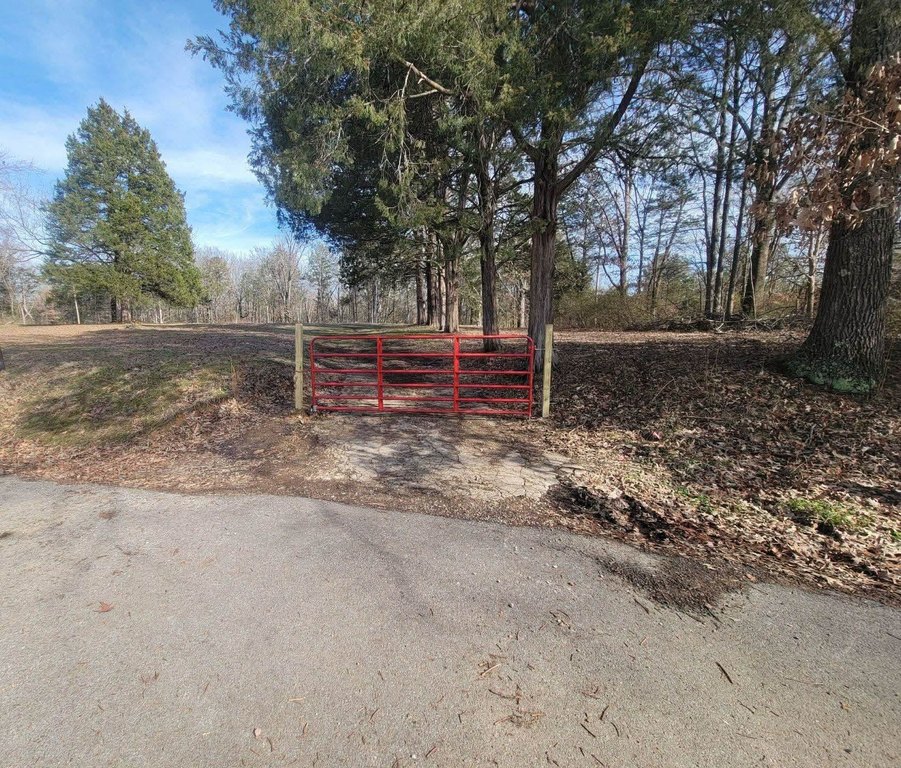 Picture 19