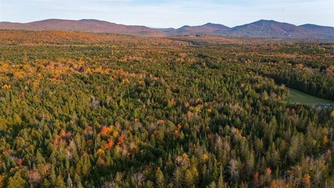 Wooded Recreational Land with Stream