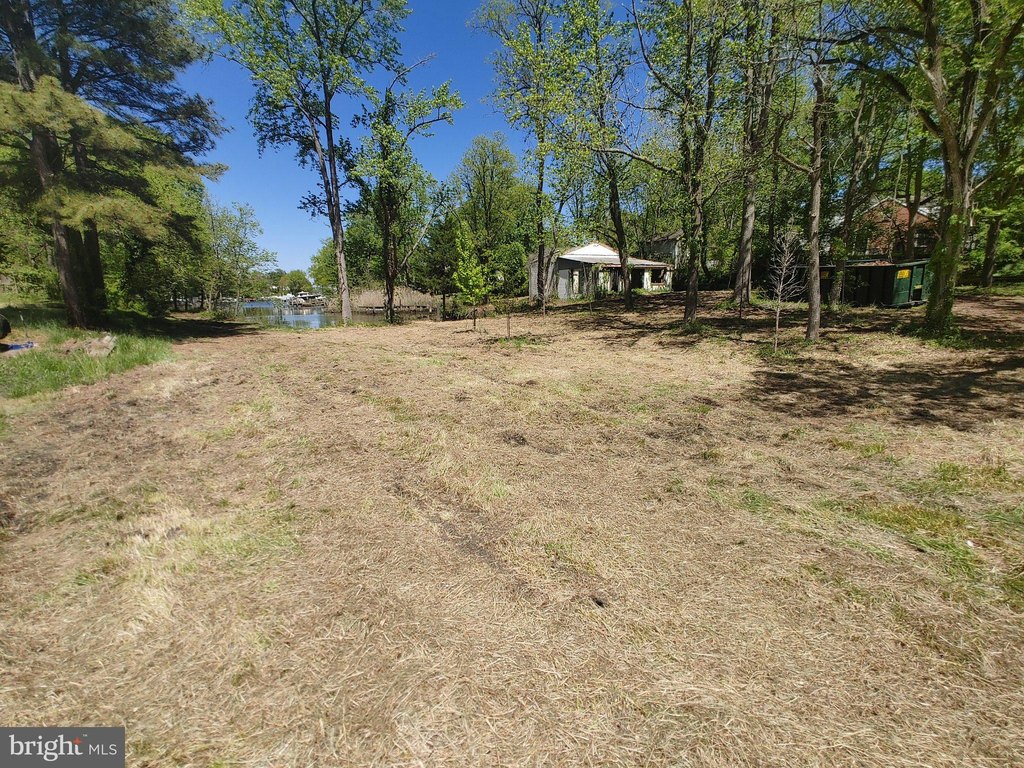 Picture 21