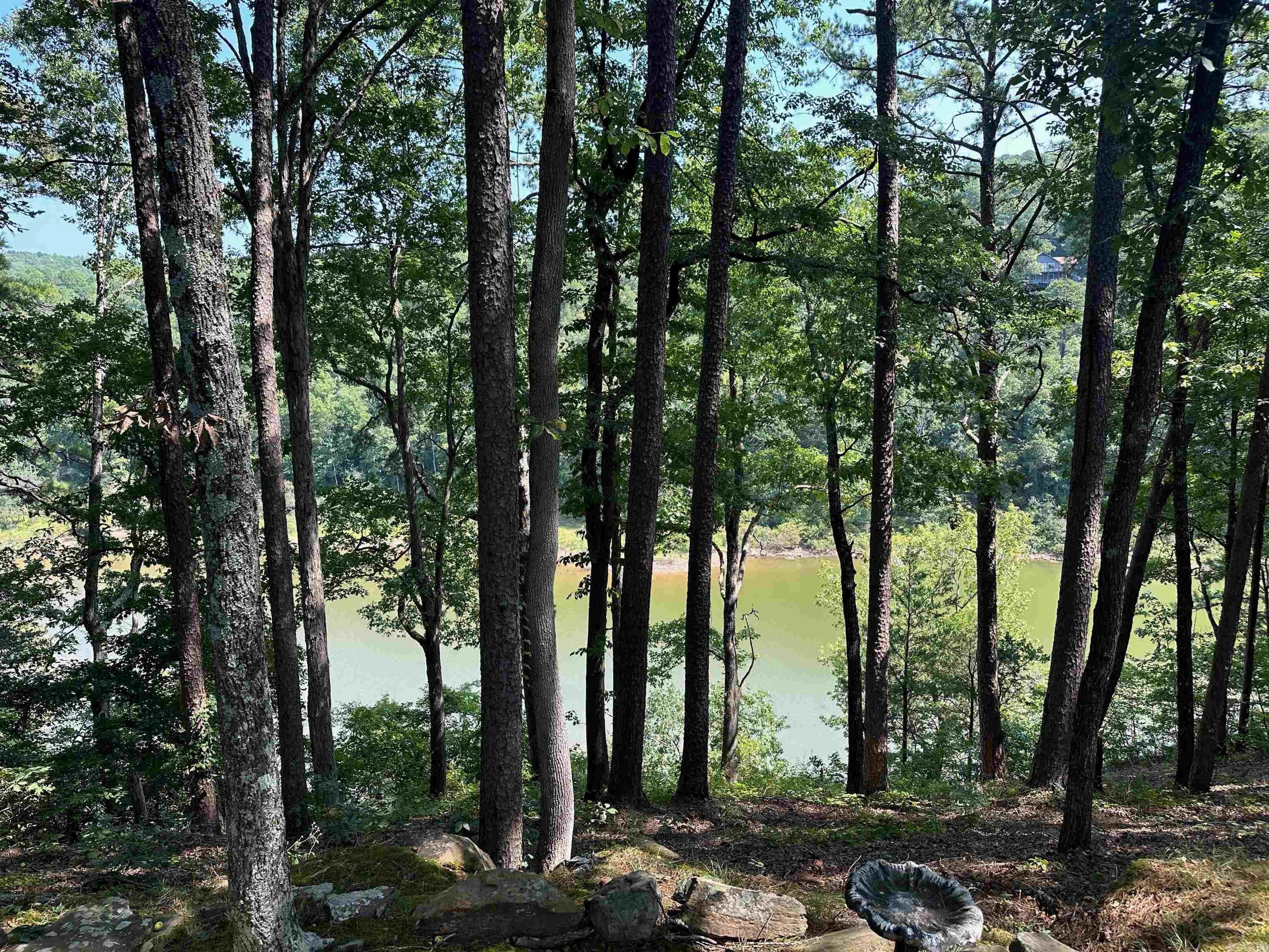 Lakefront Lot in Fairfield Bay