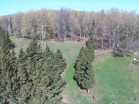 Secluded 80-Acre Recreational Land
