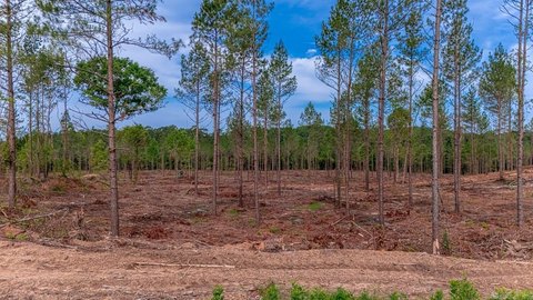 Vacant Land, Hensley, AR