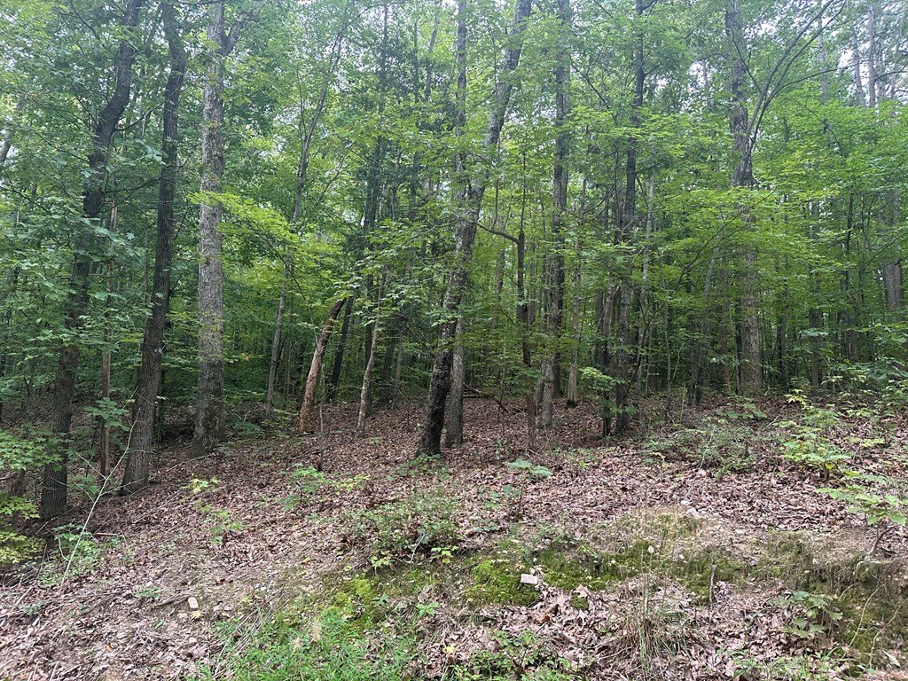 Picture 14