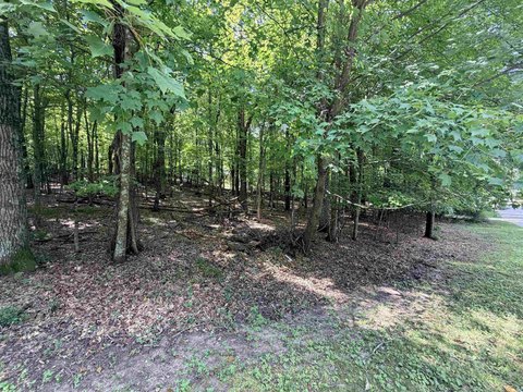 Land, WAUPACA, WI