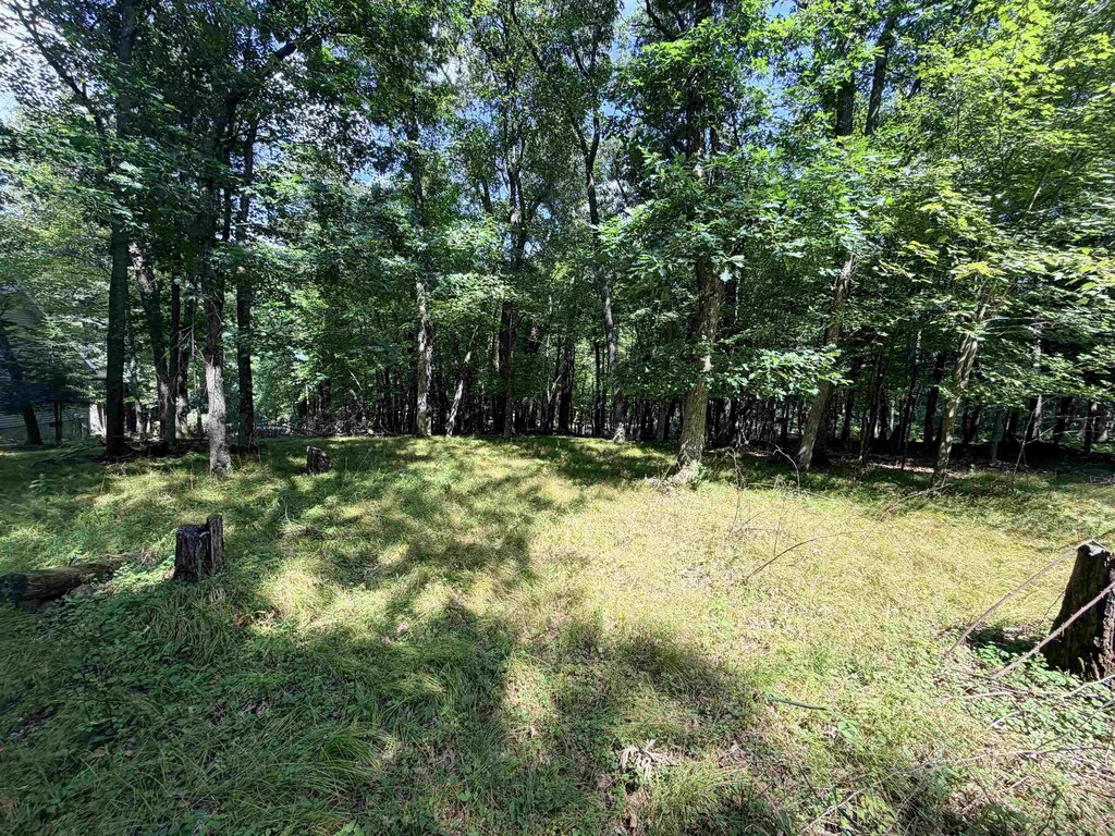 Picture 12