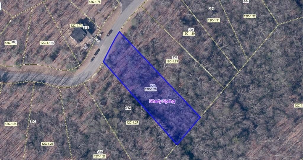 Daniels WV Resort Lot