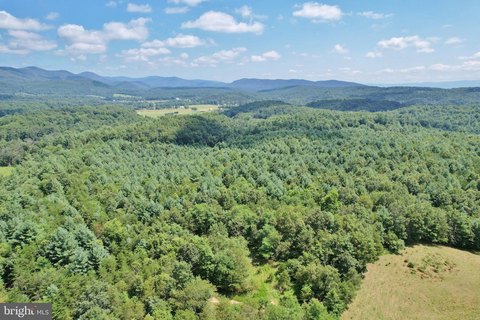 21 Acre Wooded Land Tract