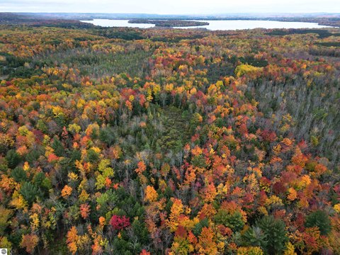 Residential Land with Mature Timber