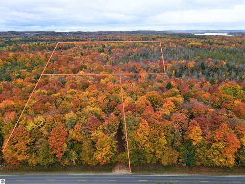 Residential Land with Mature Timber