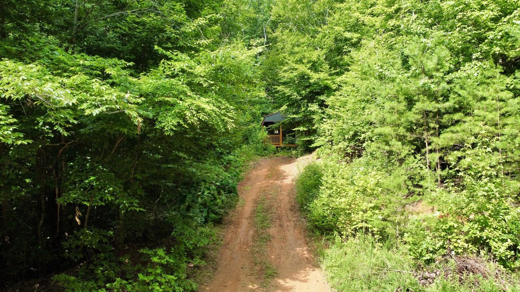 Picture 3
