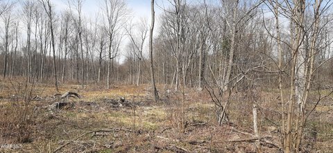 Flat 6.5 Acres in Gallitzin