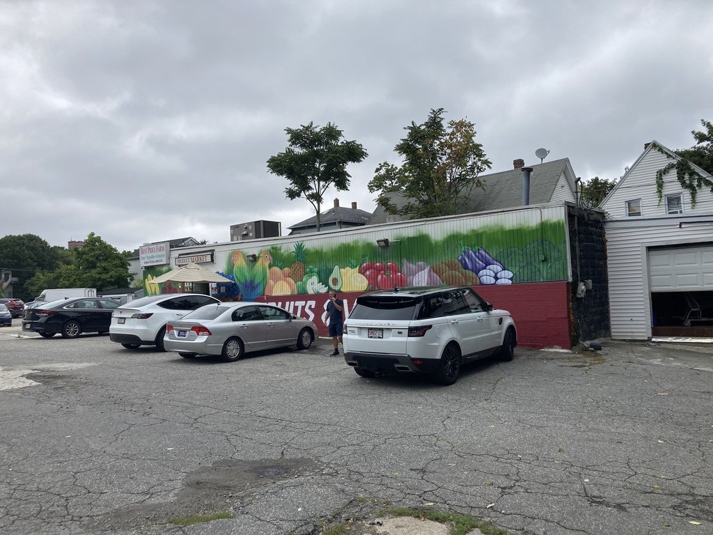 Picture 3