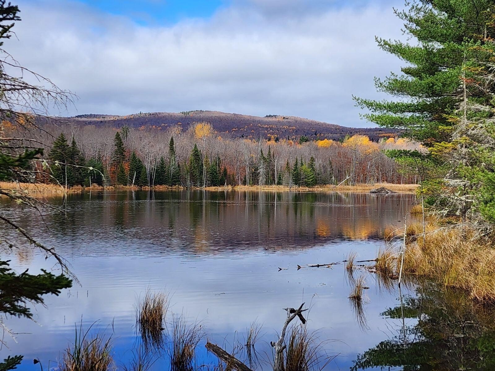 Adirondack Wilderness Hunting and Recreation Land