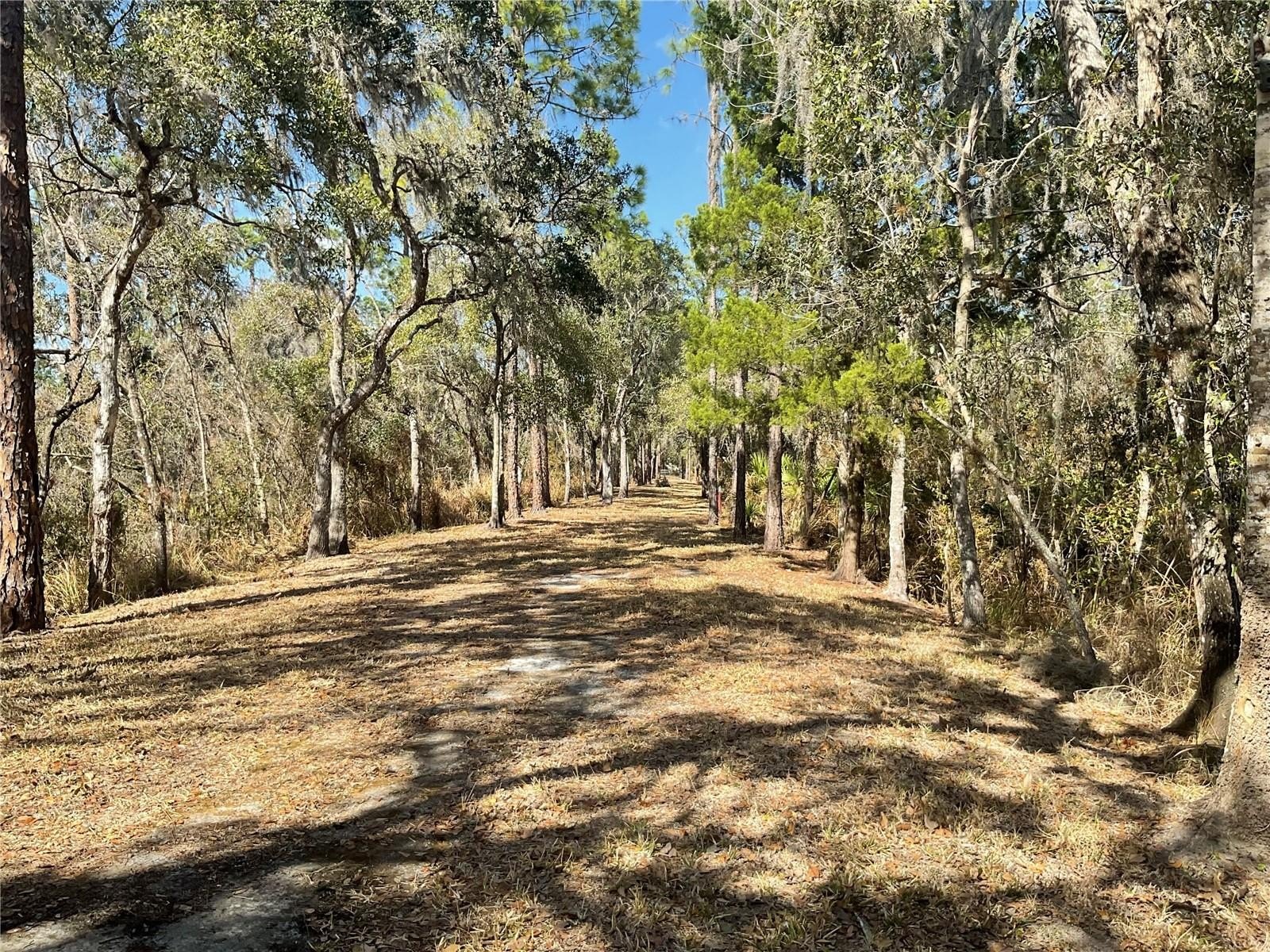 97 Acres of Agricultural Land