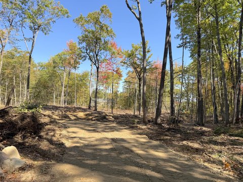 Wooded Residential Land Lot