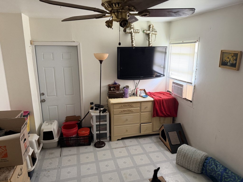 Picture 14