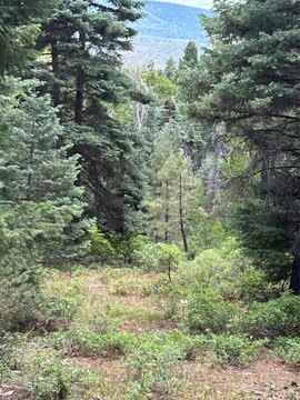 Chama, NM Mountain Land