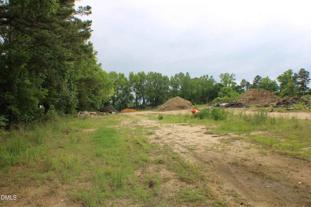 Picture 50