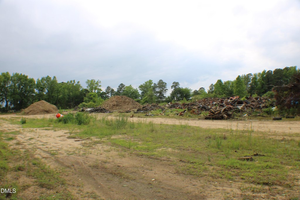 Picture 51