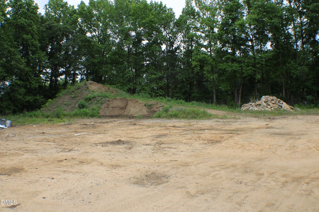Picture 48