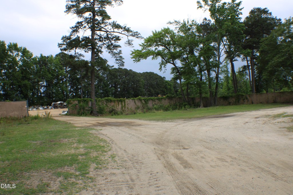 Picture 44