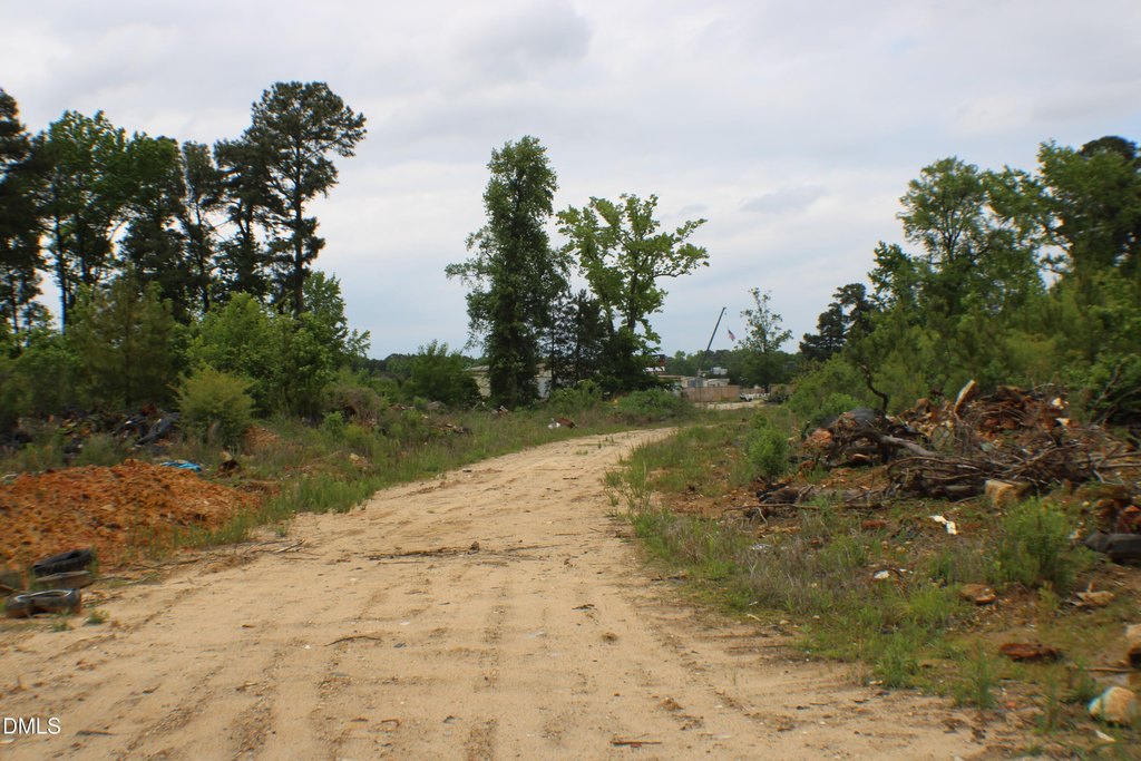 Picture 56