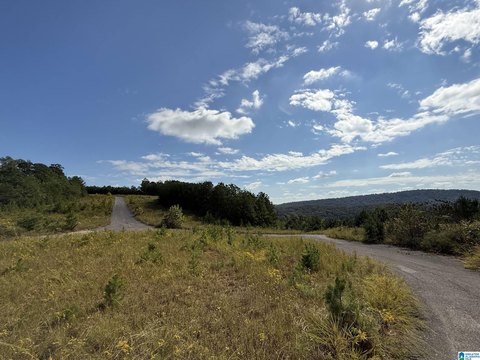 LAND/LOTS, PINSON, AL