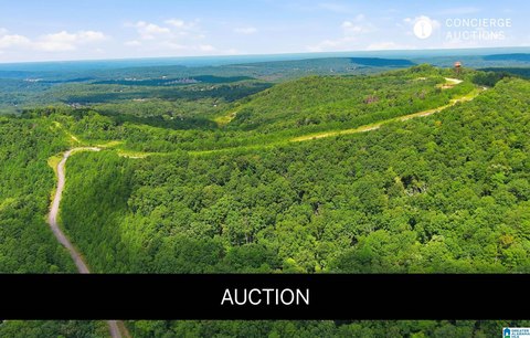 LAND/LOTS, PINSON, AL