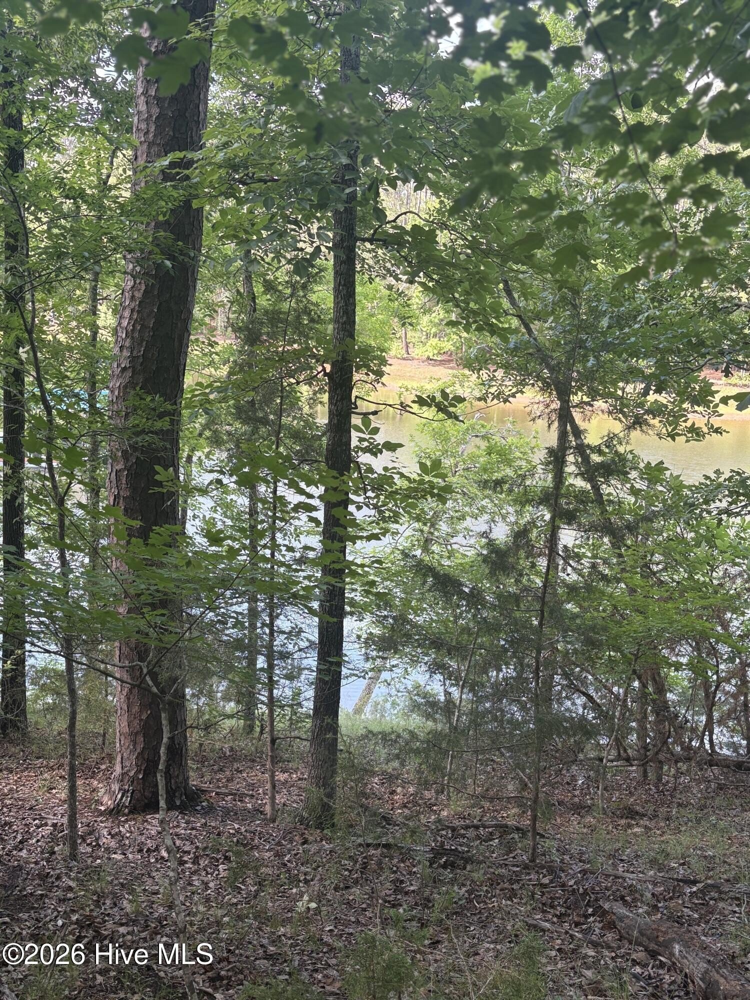 Residential Land in Tara Neighborhood