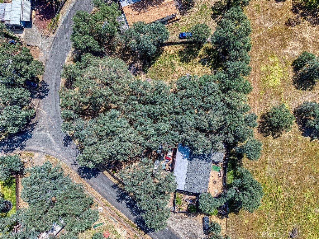 Picture 25