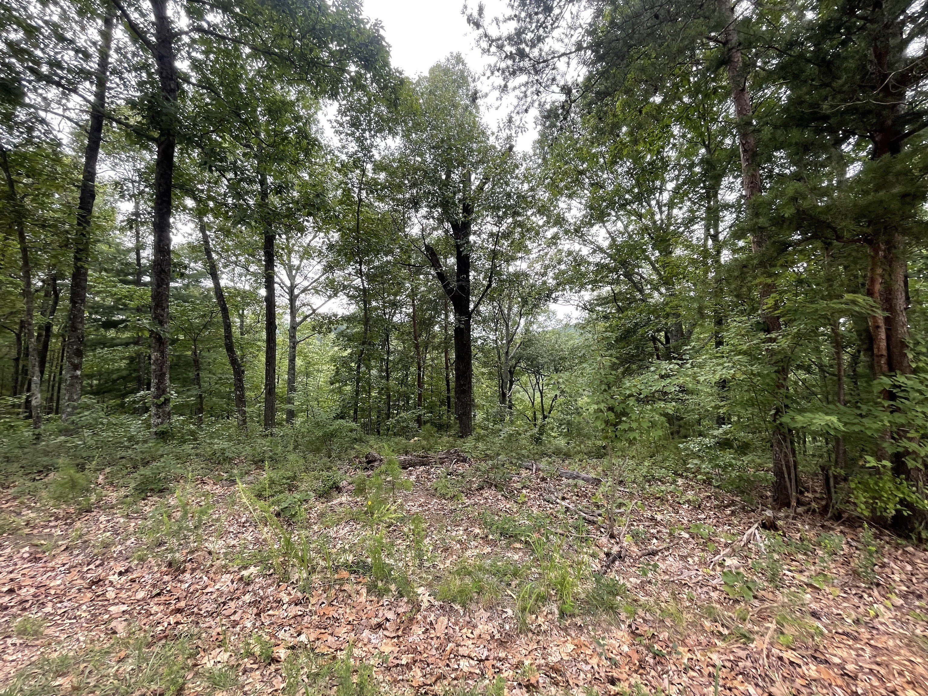 Ranger, GA Secluded Lot