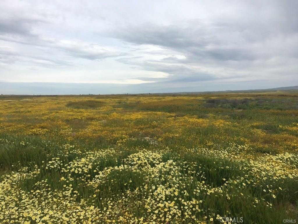 California Valley Land For Sale