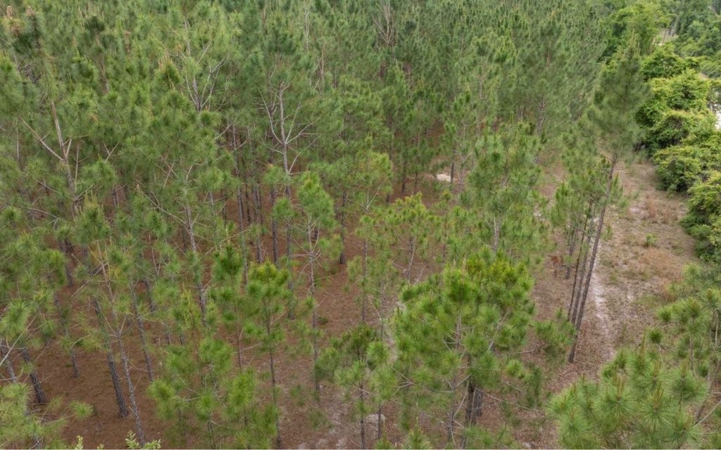 Picture 3
