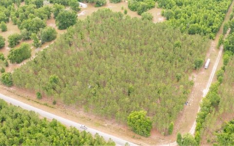Vacant Land, Live Oak, FL