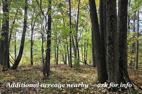 Wooded Land Near Recreational Amenities