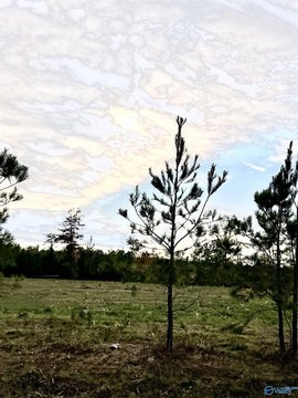 Piedmont, AL Land For Sale