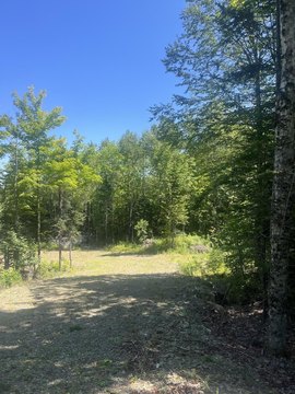 Land, Forest City Twp, ME